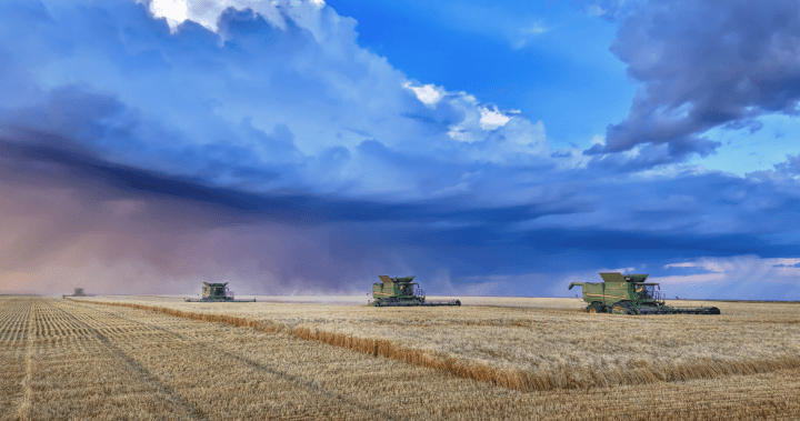 Saskatchewan farmers push for extended family tax exemptions for land transfers