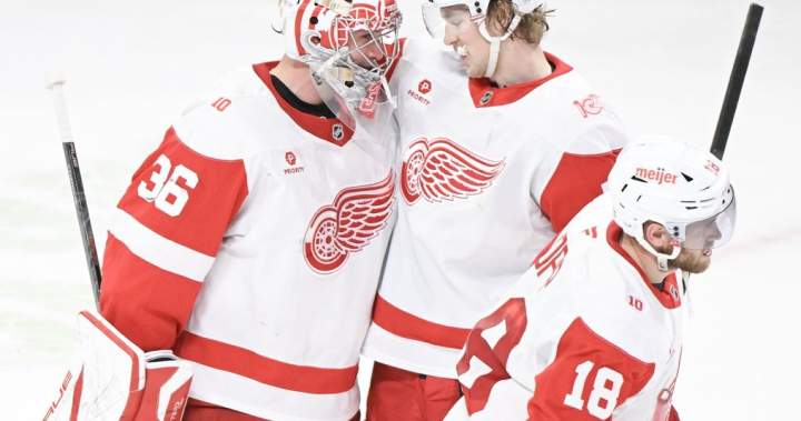 Call of the Wilde: Detroit Red Wings shutout the Montreal Canadiens