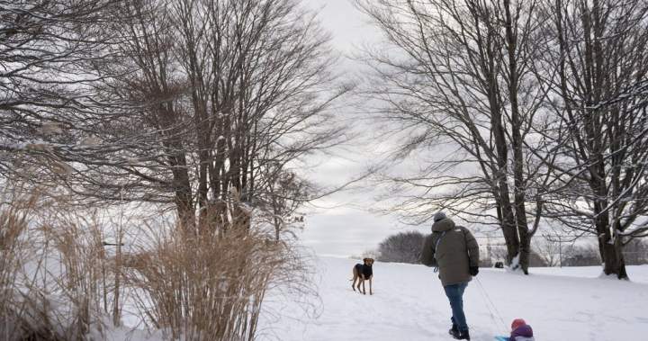 Wind chill index expected to plunge in parts of Atlantic Canada this weekend