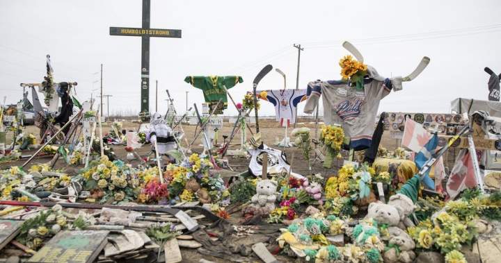 ‘Not their story to tell’: Humboldt Broncos families angry over Netflix hockey tragedy series