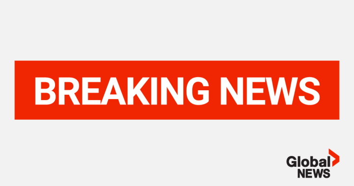 Plane crash in Colombia kills all 15 on board, including local politician