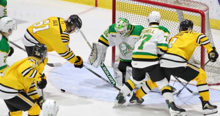 London Knights capture Battle of the 402 with 4-1 victory over the Sarnia Sting
