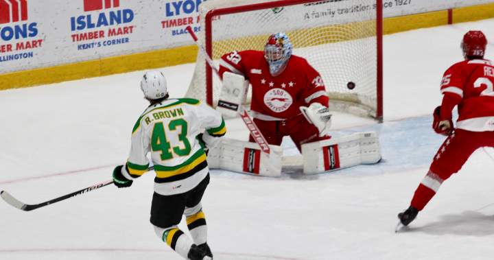 A Carter George goal helps Sault Ste. Marie to a win over the London Knights