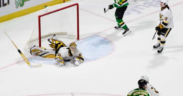 London Knights erase a 2-0 third period deficit to beat Sarnia Sting in overtime