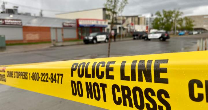 Trial begins in Edmonton for man accused of killing 2 men in Chinatown