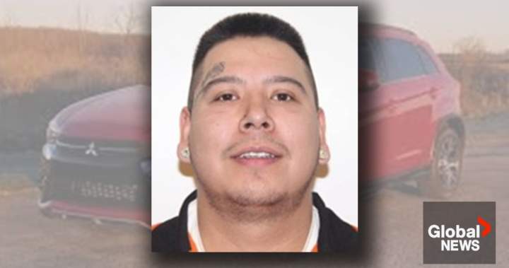 Man wanted by Edmonton police after aggravated assault sends woman to hospital