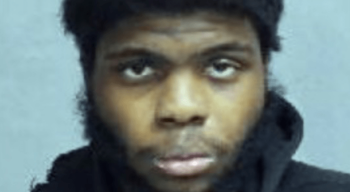 Parole documents shed light on suspect charged with murder of U of T student