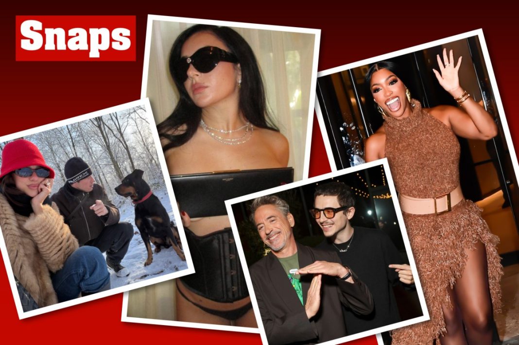 Star snaps of the week: Charli xcx, Timothée Chalamet, Dua Lipa and more