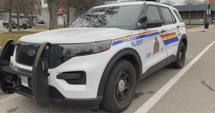 Kelowna MLA ridealong offers snapshot of policing after dark amid business crime concerns