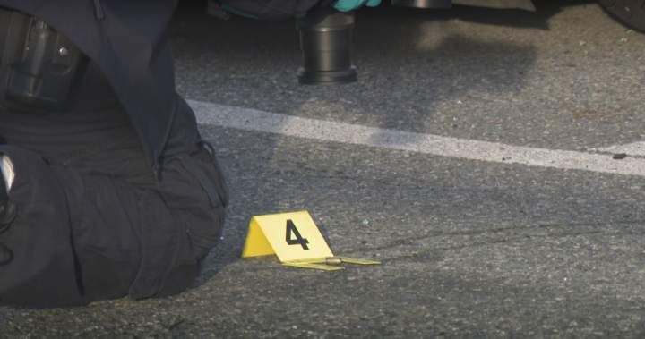 National summit on extortion crisis to be held in B.C., premier says