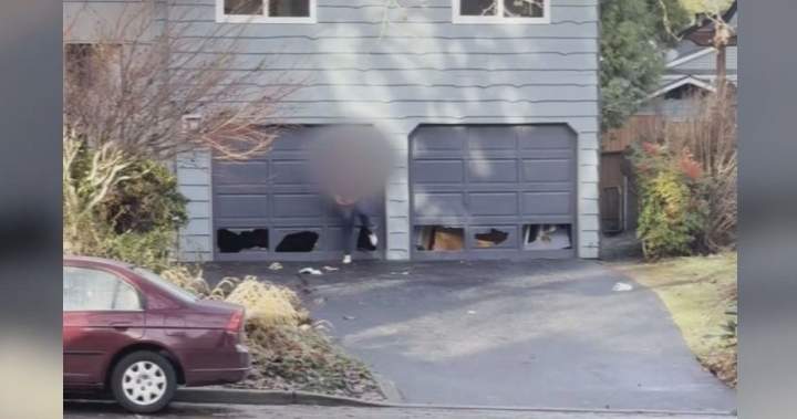 Trouble in Port Coquitlam neighbourhood after care provider, resident moves in