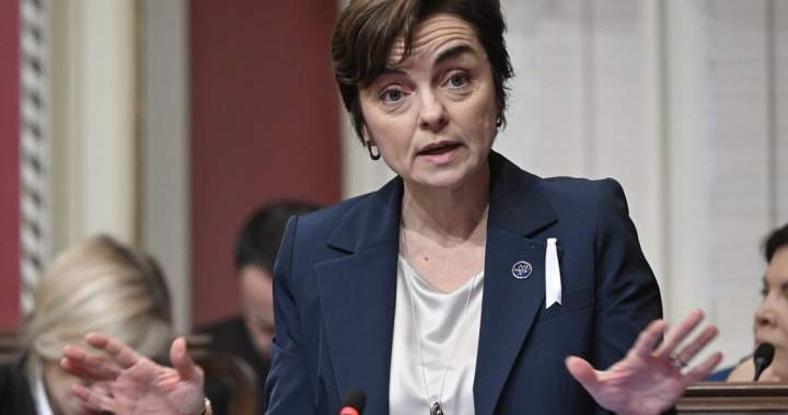 A look at some potential candidates for the Coalition Avenir Québec leadership