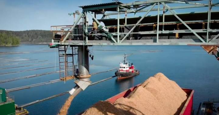 Vancouver Island wood chip plant’s closure ‘a difficult moment,’ says CEO