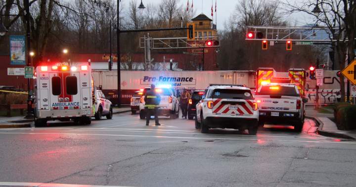 Person hit and killed by train in Fort Langley
