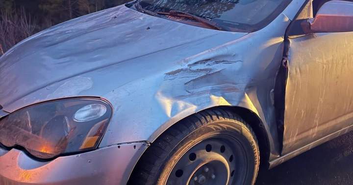 B.C. driver’s car removed from road, looked like ‘it had been chewed up by Robosaurus’
