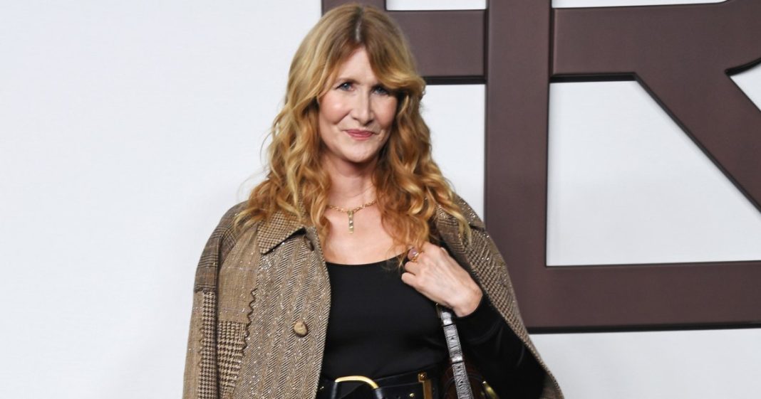 Laura Dern’s Eye-Catching Handbag Is $4,700 — Copy the Look for $36