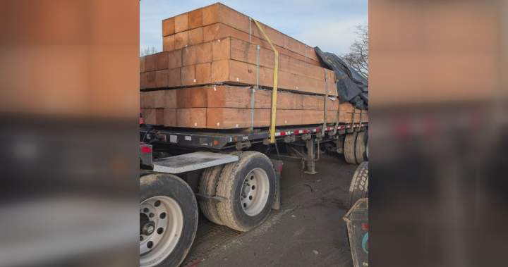 Abbotsford police ask who’s ‘missing a load of lumber’ after trailer theft