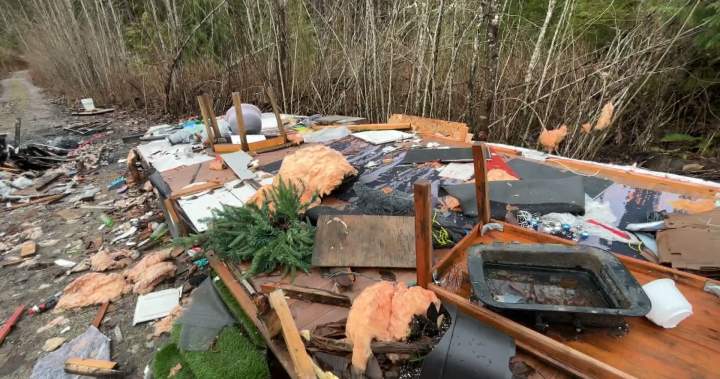 ‘Atrocious’: Chilliwack residents concerned about abandoned homeless camp