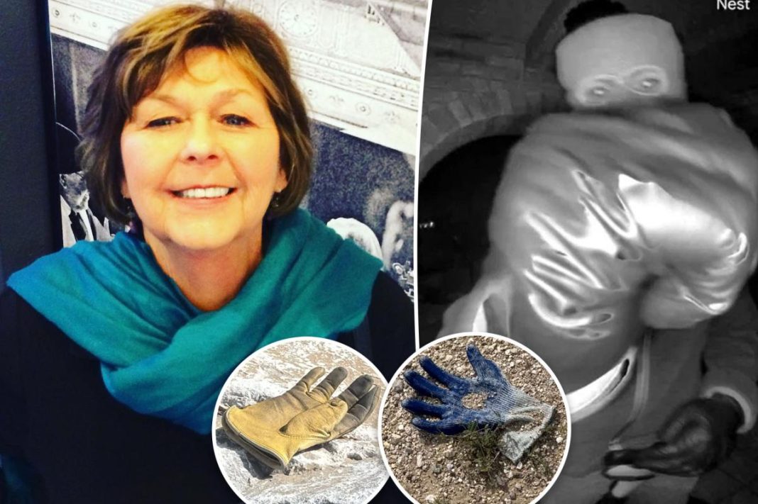 Multiple additional gloves found near Nancy Guthrie’s house where FBI found potential evidence