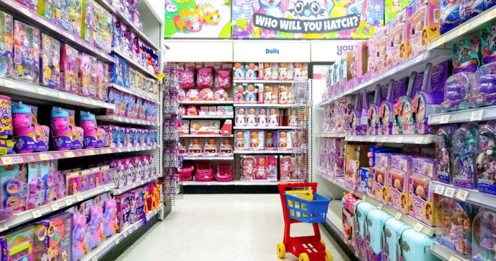 As Toys ‘R’ Us stores close, independent Regina toy store gains traction