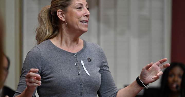Quebec politician praised for speaking openly about menopause symptom in legislature