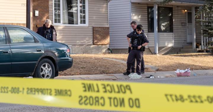 Calgary police investigate serious assault in Rundle