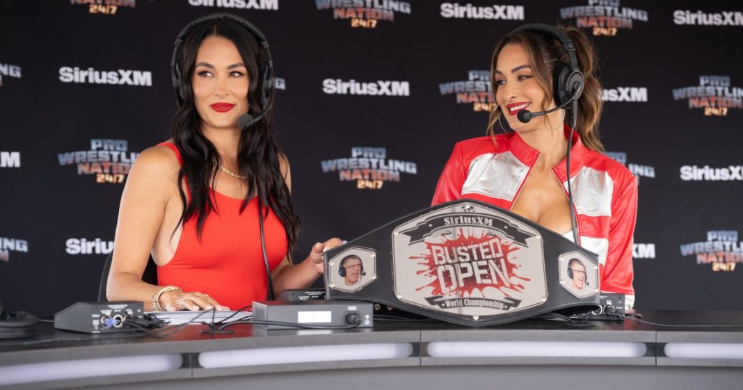 Brie Bella Makes Surprise WWE Return at 'Royal Rumble’ With Twin Nikki