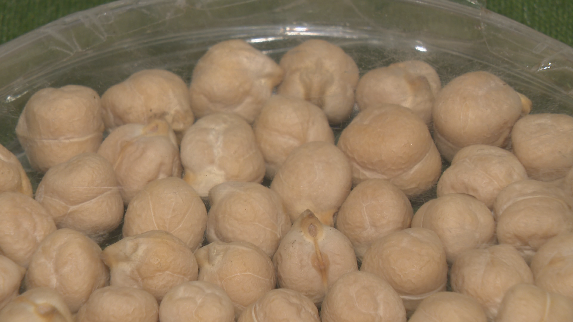 Saskatchewan pulse industry welcomes $75M federal market diversification investment