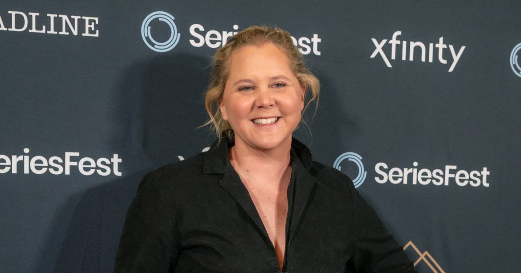Amy Schumer Creates 'Crying Corner' for Valentine's Day Amid Divorce