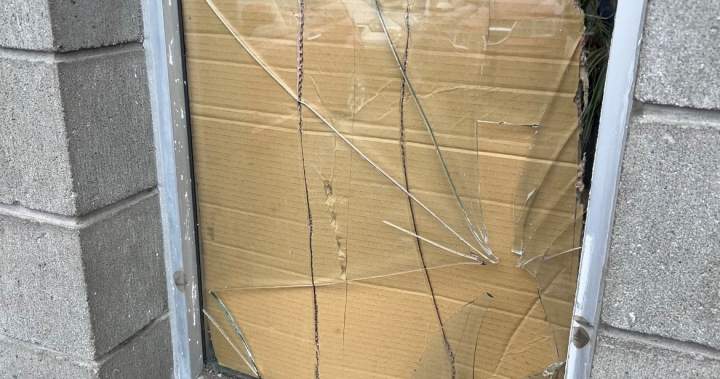 BC Conservative interim leader accuses NDP of ignoring crime, disorder in Kelowna