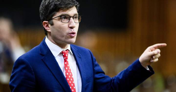 Conservative MP searches for ‘antifa’ in federal government, Canadian Armed Forces