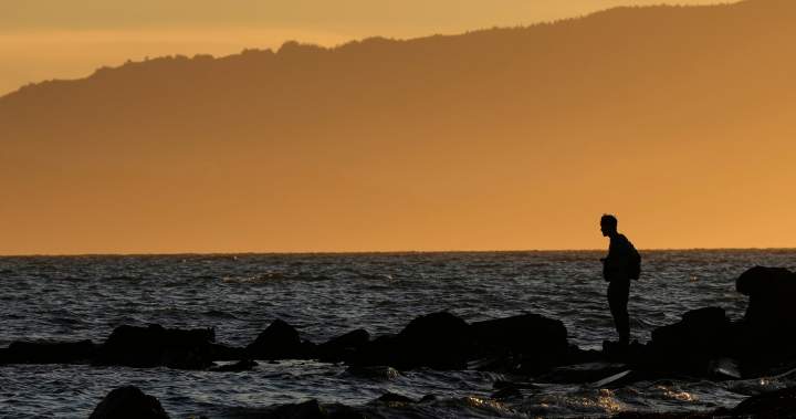 Do ‘forever chemicals’ age men faster? Experts urge caution on new study