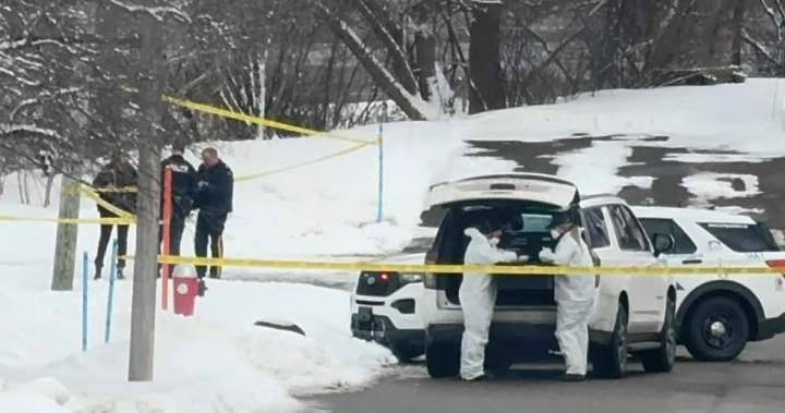 Woman found in Moncton garbage bin identified, cause of death not known