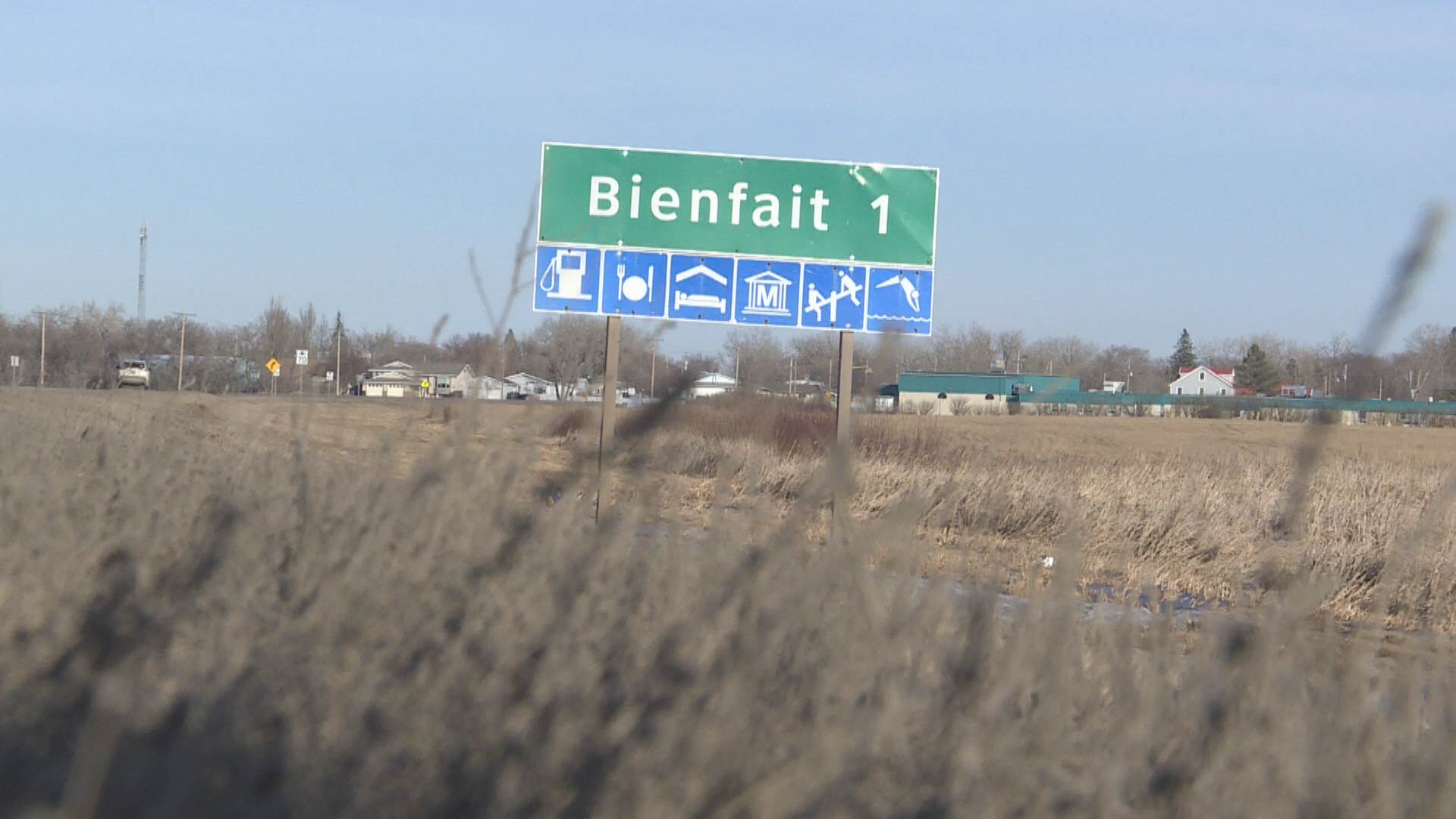 Saskatchewan man saves his 70-year-old mother from moose attack