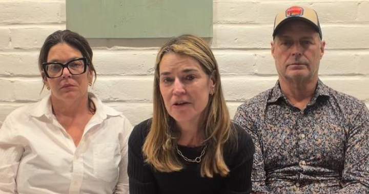 Savannah Guthrie urges mother’s alleged kidnapper to prove she’s alive in new video