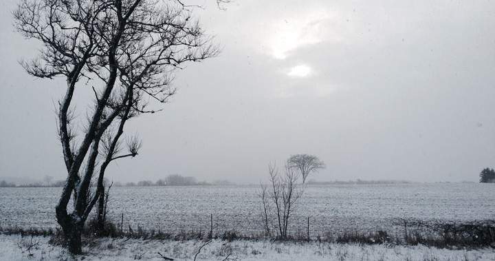 Ontario city turns to landfill property for snow storage amid record winter