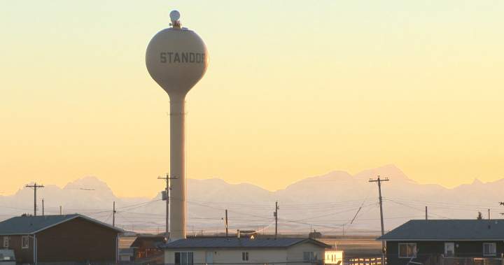 Blood Tribe declares state of emergency after recent dog attacks