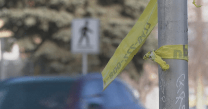 Calgary mayor asks photo radar ban be reconsidered after recent traffic fatalities