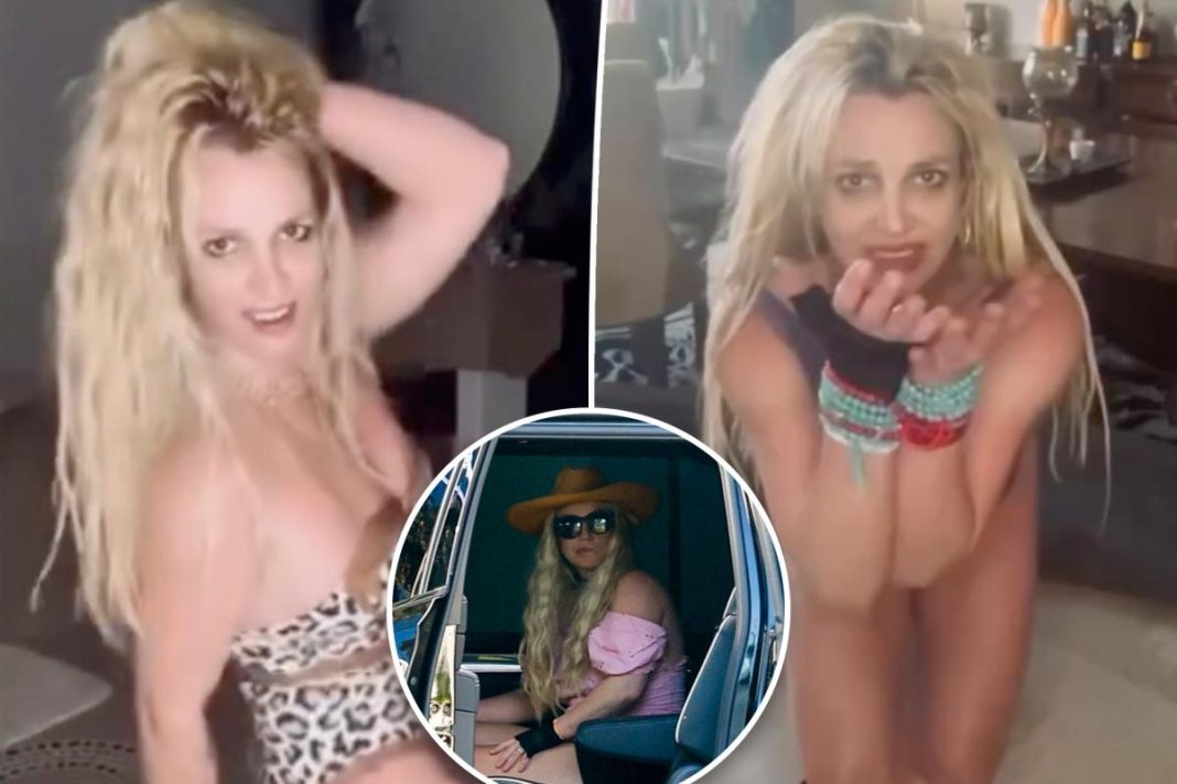 Britney Spears believed to be on cocktail of alcohol and drugs during DUI arrest: cops