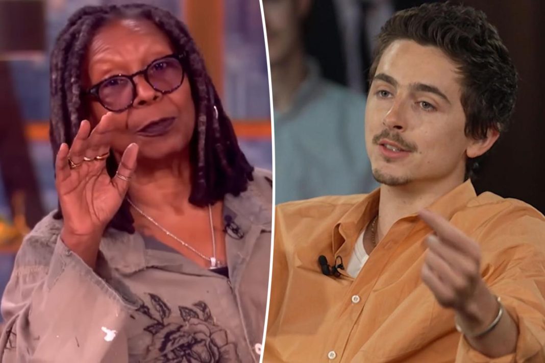 ‘The View’ co-hosts drag ‘vapid’ Timothée Chalamet after his ballet and opera diss