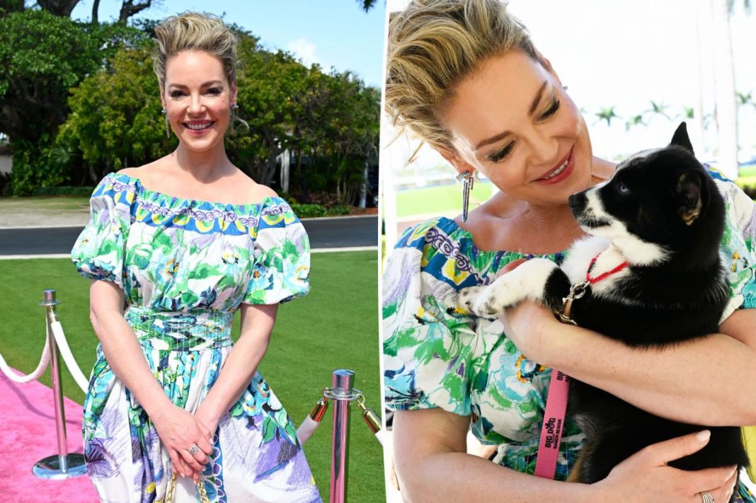 Katherine Heigl hits back at fans politicizing her attendance at Mar-a-lago rescue event: ‘Animals don’t vote’