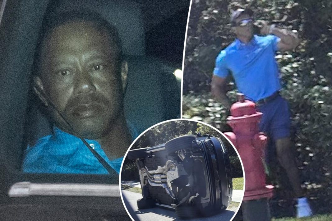 Tiger Woods caught with pills in his pocket during DUI arrest, authorities say