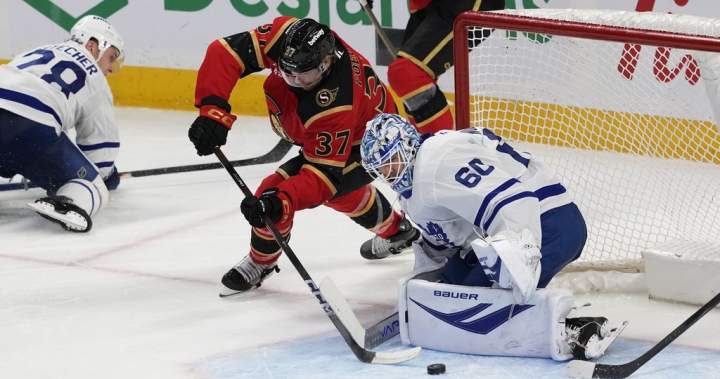 Senators back in the hunt with confidence growing