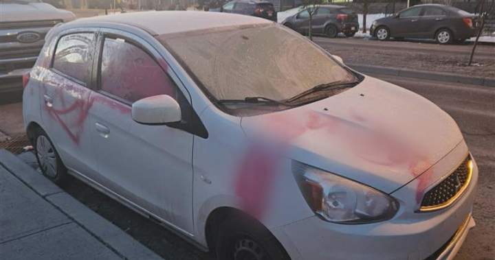Vehicles and buildings vandalized overnight in southeast Calgary, 3 youths arrested