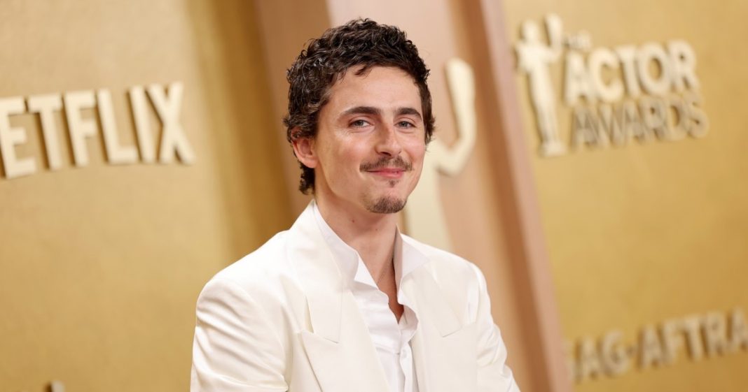 Timothee Chalamet Said Ballet, Opera Were 'Dying' Years Before Recent Drama