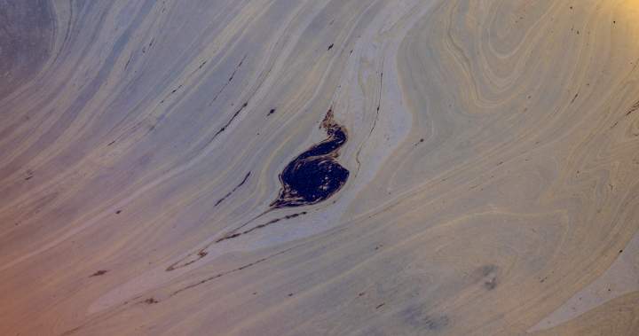 Oil spill in Ontario river ‘contained,’ cleanup ongoing: Suncor
