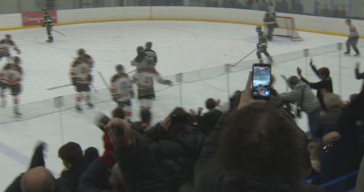 Oak Park Raiders force deciding game with 3-2 OT victory in high school city championship