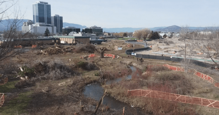 ‘It’s just sad:’ Kelowna residents disappointed after city removes swath of trees