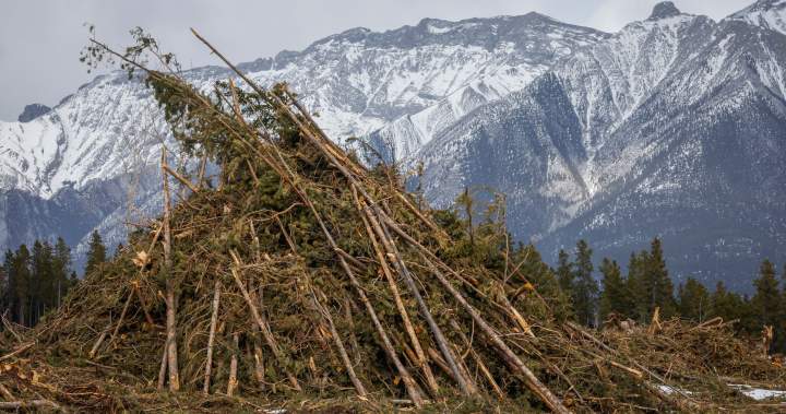 Alberta mountain towns deal with ‘low-grade anxiety’ as wildfire season begins