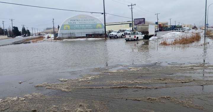 ‘Passing the buck’: Edmonton business deals with decades-long drainage problem